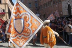 palio 16 agosto 2017 (8)