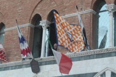 palio 16 agosto 2018 lupa (117)