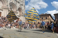 palio 16 agosto 2018 lupa (50)