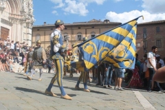 palio 16 agosto 2018 lupa (51)