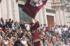 palio 16 agosto 2018 lupa (52)