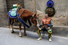 giorno del palio (34)