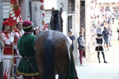 giorno del palio (95)