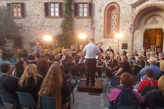 vertine dublin concert band (14)