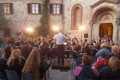 vertine dublin concert band (15)