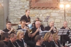 vertine dublin concert band (4)