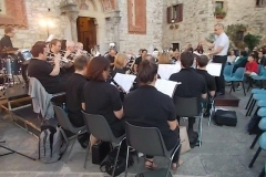 vertine dublin concert band (6)