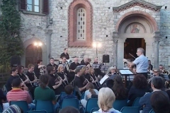 vertine dublin concert band (9)