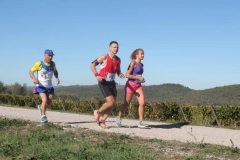 ecomaratona del chianti 2017 lungo il percorso (104)