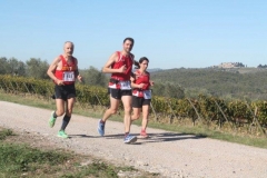 ecomaratona del chianti 2017 lungo il percorso (89)