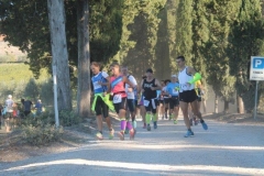 ecomaratona del chianti 2017 partenza dal castello di brolio (26)