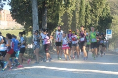 ecomaratona del chianti 2017 partenza dal castello di brolio (37)