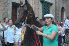 palio 2 luglio 2018 drago (115)