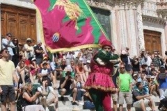 palio 2 luglio 2018 drago (44)