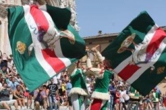 palio 2 luglio 2018 drago (49)