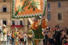 palio 16 agosto 2019 selva (27)