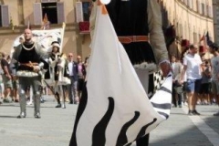 palio 16 agosto 2019 selva (28)