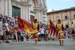 palio 16 agosto 2019 selva (37)