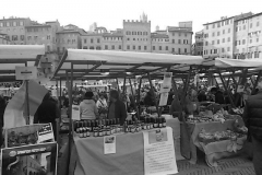 il mercato in piazza del campo 5 dicembre 2015 (13)
