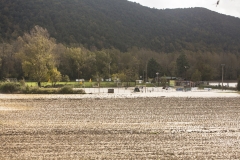 Esondazione Fiume Merse Campo Sportivo Brenna (1)