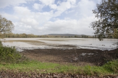 Esondazione Fiume Merse tra Orgia e Palazzo a Merse (1)