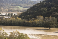 Esondazione Fiume Merse tra Orgia e Palazzo a Merse (10)