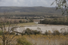 Esondazione Fiume Merse tra Orgia e Palazzo a Merse (12)