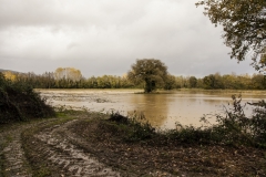 Esondazione Fiume Merse tra Orgia e Palazzo a Merse (2)