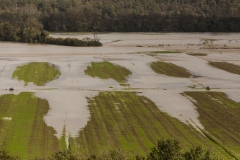 Esondazione Fiume Merse tra Orgia e Palazzo a Merse (6)