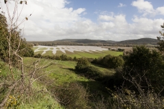 Esondazione Fiume Merse tra Orgia e Palazzo a Merse (7)