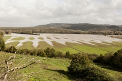 Esondazione Fiume Merse tra Orgia e Palazzo a Merse (8)