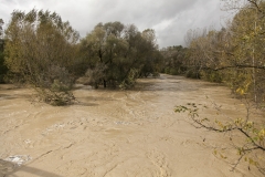 Fiume Merse dal Ponte di Orgia (1)