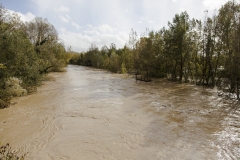 Fiume Merse dal Ponte di Orgia (2)