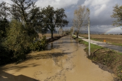 Torrente Rosia presso Palazzo a Merse