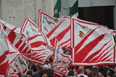 palio 2 luglio 2019 giraffa (109)