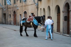 palio 2 luglio 2019 giraffa (63)