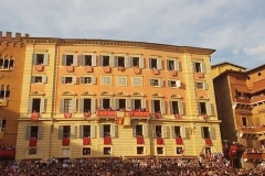 accademia della caccola