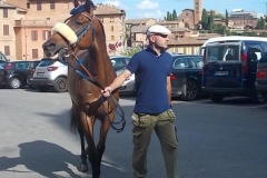 barbaresco e cavallo del nicchio (3)