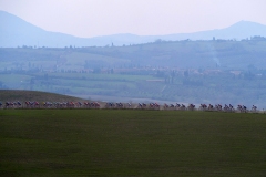 strade-bianche-2025-13